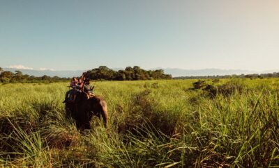 Best Places to Visit in Chitwan: Wildlife, Nature and Cultural Attractions